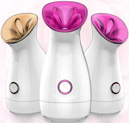 3-in-1 Nano Ionic Facial Steamer