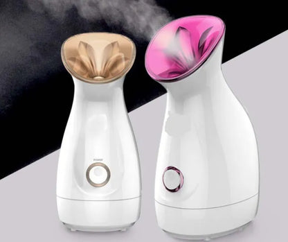 3-in-1 Nano Ionic Facial Steamer